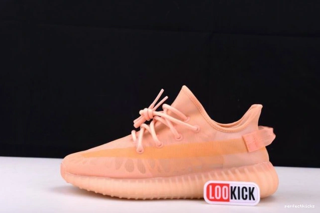 Yeezy Boost GW2870 